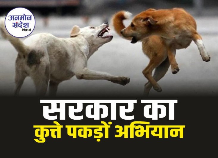 सरकार का कुत्ते पकड़ों अभियान, होगी फोटो और वीडियोग्राफी